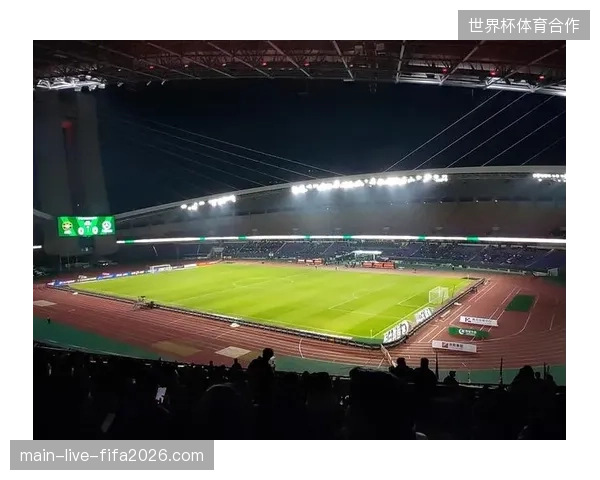未来三年观赛体验竞争加剧,智能导引系统能否成为消解现场消费冗余的关键基础设施 未来三年观赛体验竞争加剧,智能导引系统能否成为消解现场消费冗余的关键基础设施